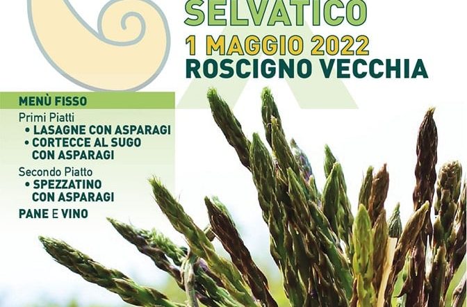 Ritorna la Festa dell’asparago selvatico a Roscigno Vecchio
