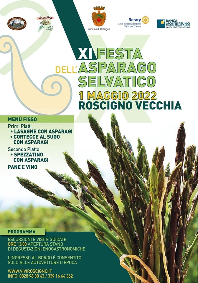 Ritorna la Festa dell’asparago selvatico a Roscigno Vecchio
