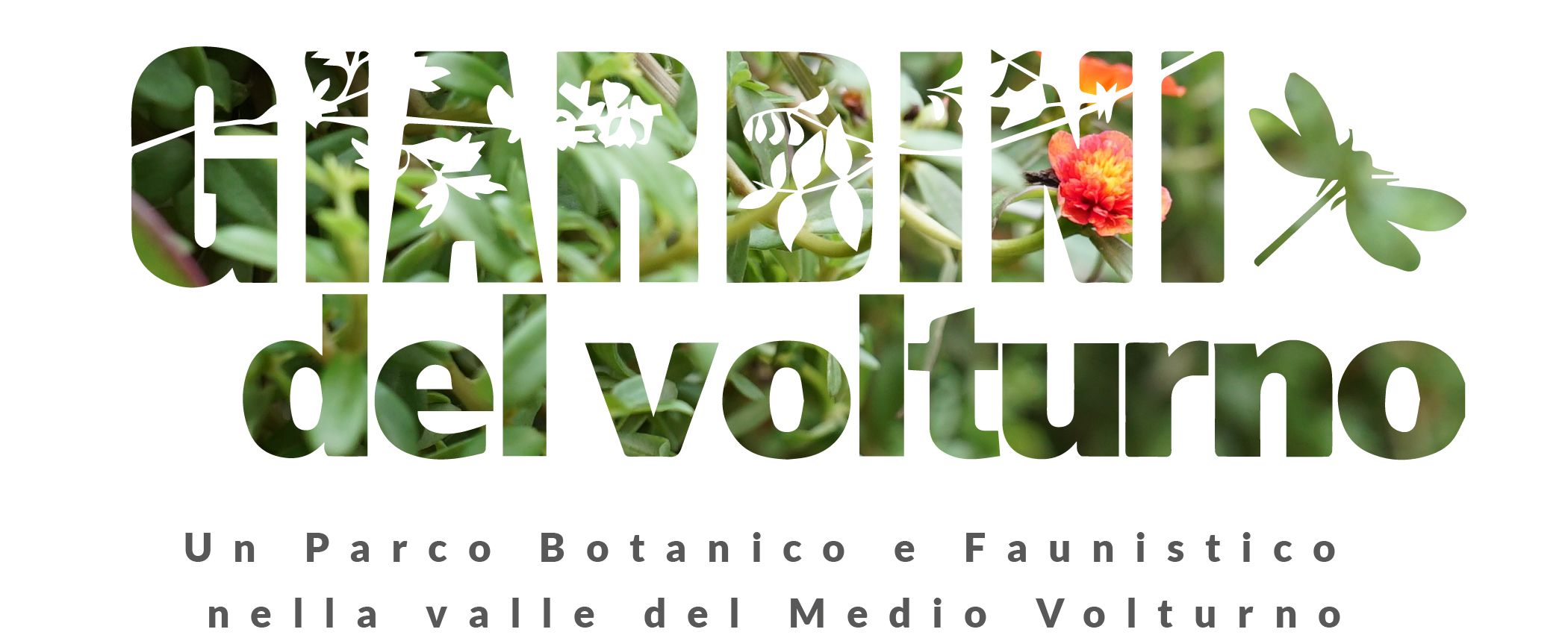 In arrivo l’XI edizione di Giardini del Volturno Festival del Verde