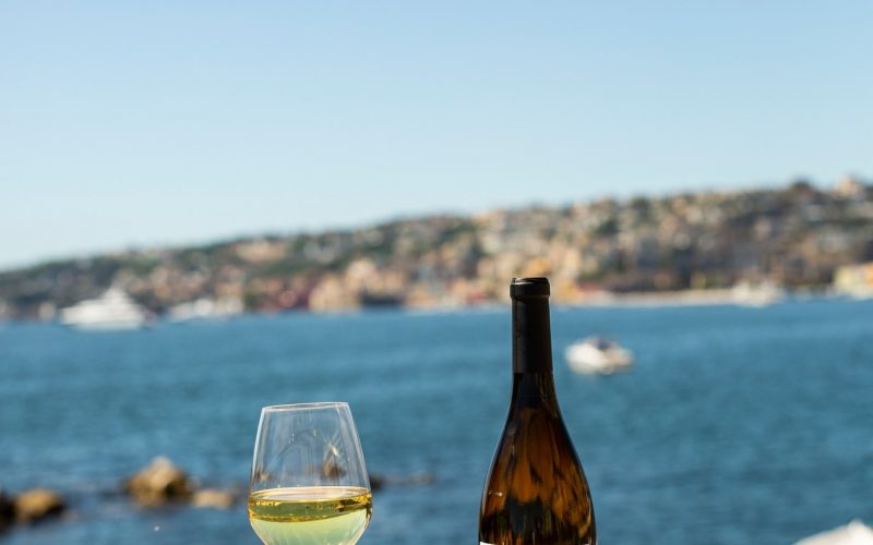 La wine passion delle Cantine Federiciane Monteleone sull’onda del fermento