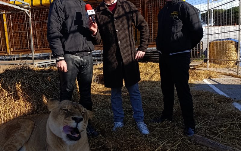 La risposta del Circo Orfei a Licola allo spettacolo circense ‘horror’ del 23 dicembre