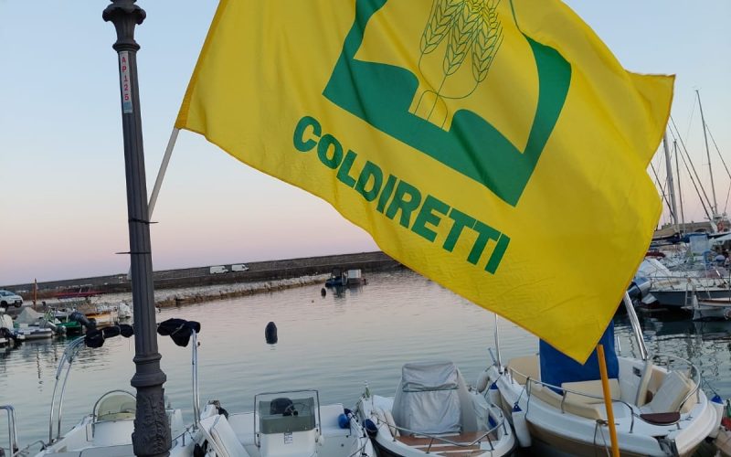 AL MERCATO DI CAMPAGNA AMICA DI SALERNO IN SCENA PESCA AMICA