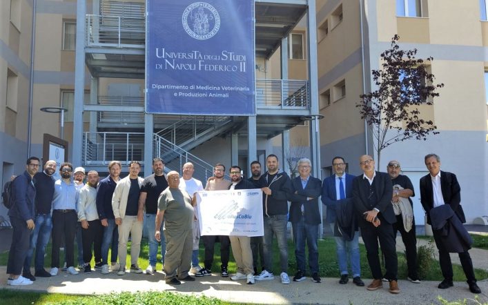MollusCA Blu”, alla Federico II i risultati del progetto per la tutela del cannolicchio e della biodiversità marina 